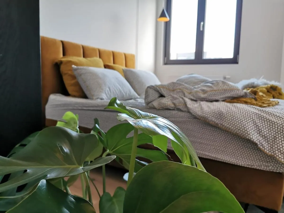 The Penthouse, Oasis Of Light And Inspiration Apartment Antwerp